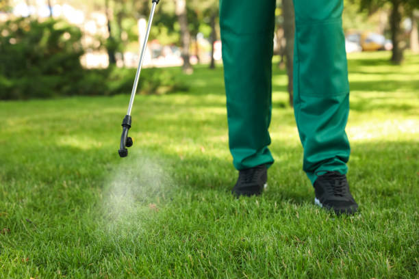 Best Affordable Pest Control Services  in Medpolis, IA