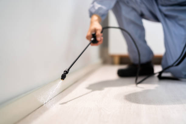Pest Control for Restaurants in Mediapolis, IA