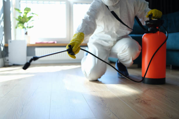 Best Flea Control Services  in Medpolis, IA