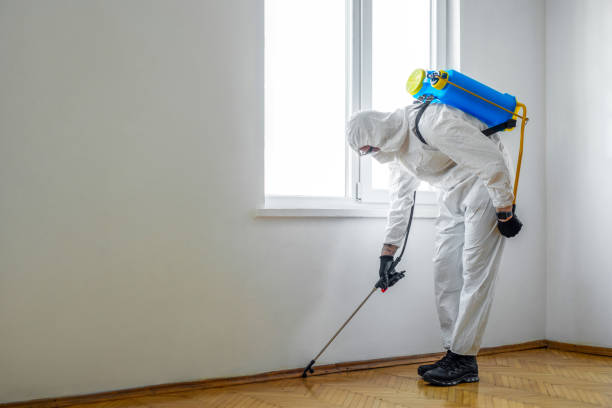 Best Bed Bug Extermination  in Medpolis, IA